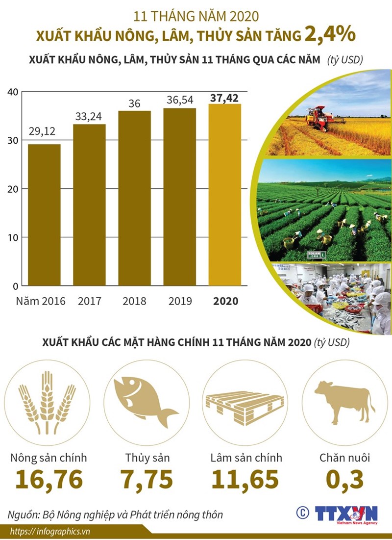 [Infographics] 11 tháng, xuất khẩu nông-lâm-thủy sản tăng 2,4%
