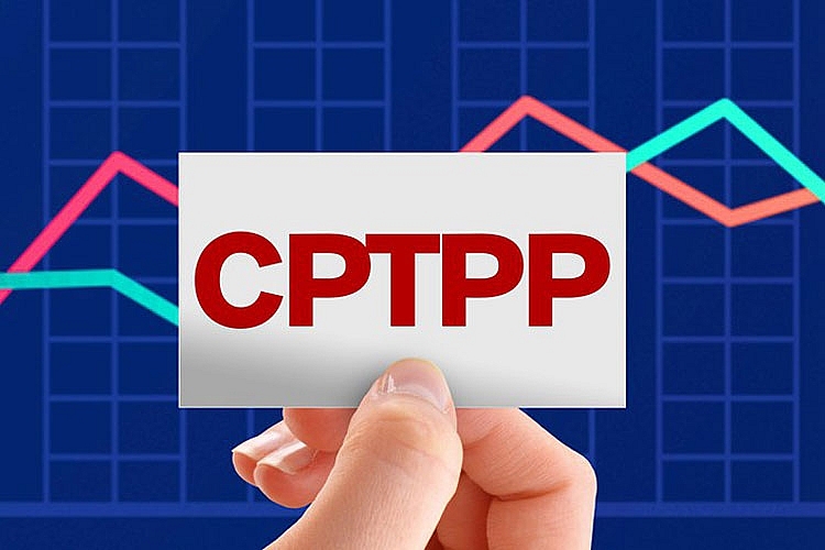 CPTPP mở rộng: Cầu nối thương mại Mỹ - Trung?