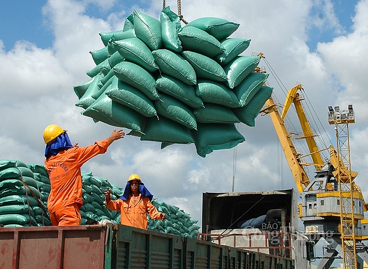 Xuất khẩu gạo: “Đòn bẩy” từ các FTA
