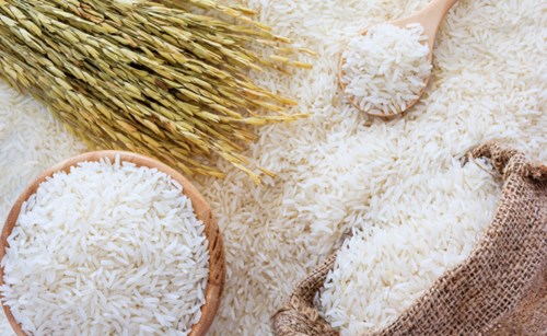 Thị trường lúa gạo ngày 19/3: Giá ổn định