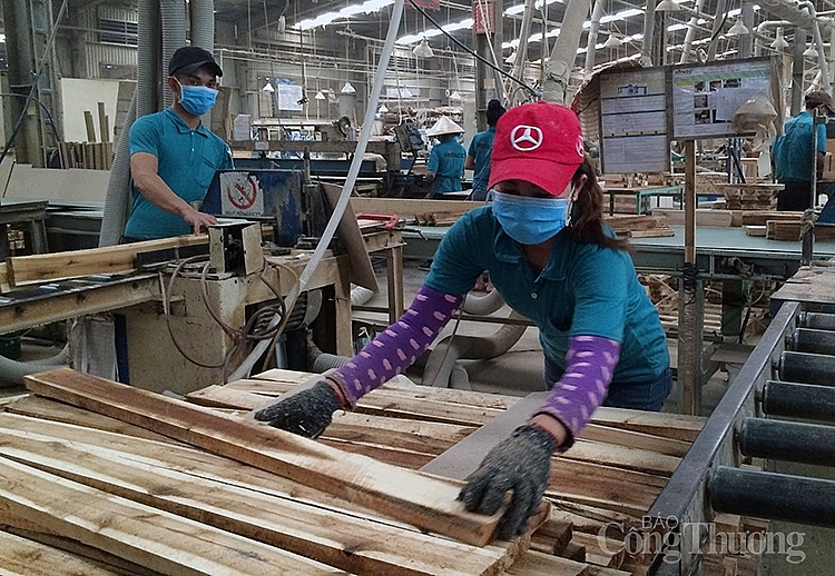 Những rủi ro trong xuất khẩu gỗ Việt