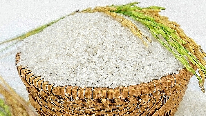 Giá lúa gạo hôm nay 3/4: Giá lúa tiếp tục giảm mạnh 200 đồng/kg