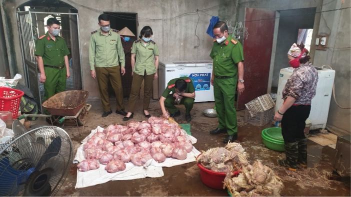Thái Nguyên: Phát hiện gần 3 tấn gà chết bốc mùi phải tiêu huỷ ngay