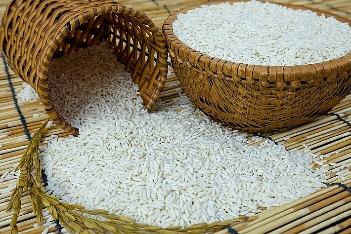 Giá lúa gạo hôm nay 31/5: Đầu tuần giá gạo nguyên liệu giảm mạnh 300 đồng