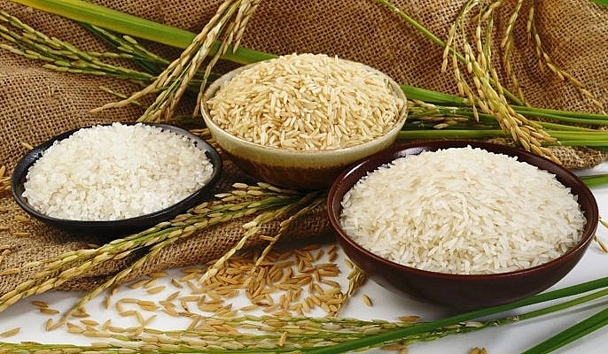 Giá lúa gạo hôm nay 12/6: Giá lúa ổn định, giá gạo nguyên liệu tăng