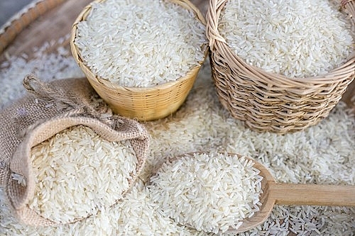 Giá lúa gạo hôm nay 14/6: Giá gạo tiếp tục giảm sâu