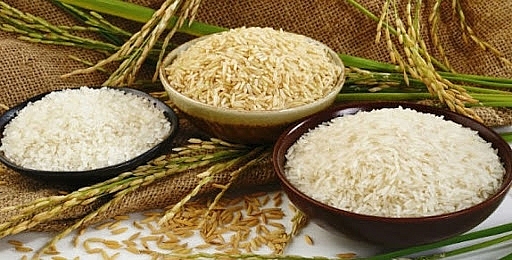 Giá lúa gạo hôm nay 19/4: Giá lúa gạo ổn định, giao dịch sôi động