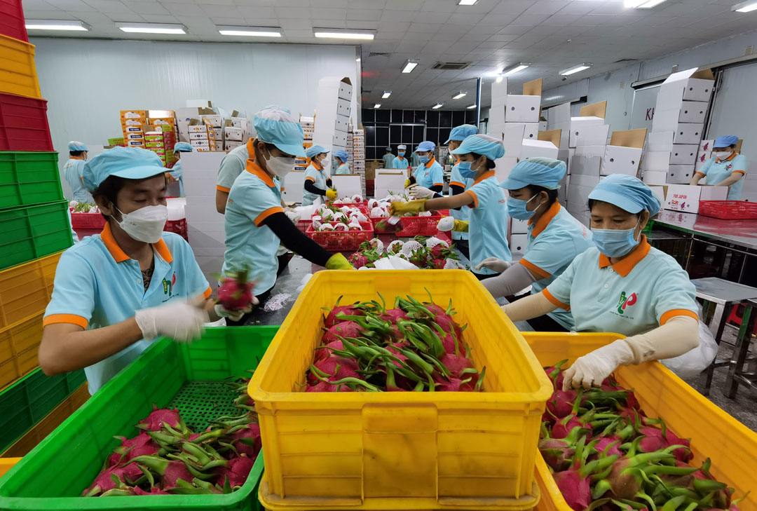 Đề nghị Ấn Độ mở cửa thị trường cho nhiều loại trái cây tươi Việt Nam
