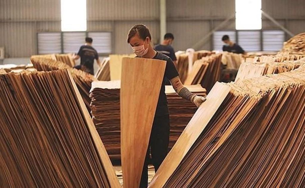 Mỹ gia hạn điều tra lẩn tránh phòng vệ thương mại với gỗ dán Việt Nam