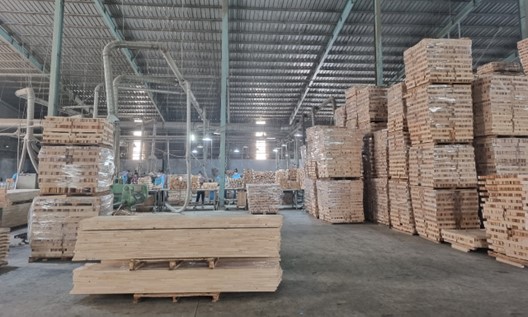 Bộ Công Thương quy định về tạm ngưng kinh doanh tạm nhập, tái xuất gỗ tròn, gỗ xẻ từ rừng tự nhiên từ Lào và Campuchia