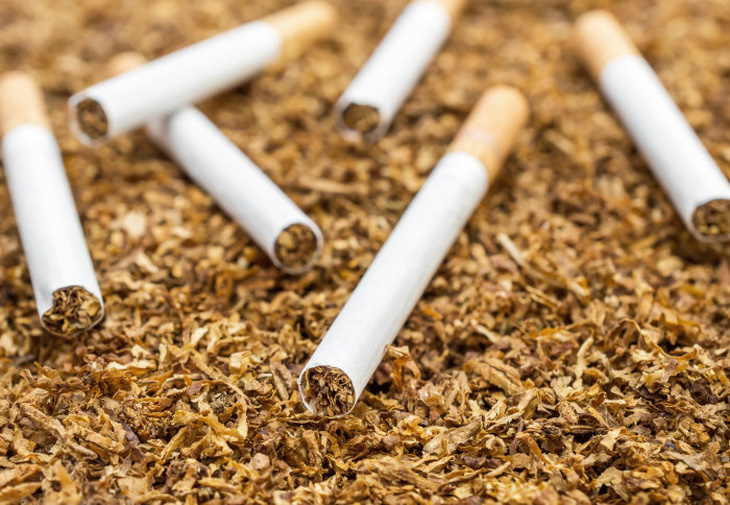 Quy định về hạn ngạch thuế quan nhập khẩu thuốc lá nguyên liệu năm 2024