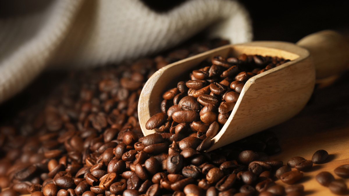 Xuất khẩu cà phê nửa đầu tháng 7/2019 tăng mạnh so với cùng kỳ 2018