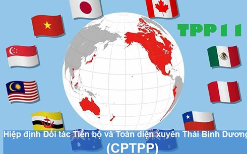 Thông tin chung về cơ chế và phương thức hoạt động của Hội đồng CPTPP