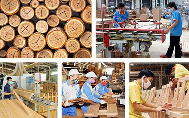 Xuất khẩu gỗ và sản phẩm gỗ sang Nhật bản tăng trưởng khả quan trong năm 2019
