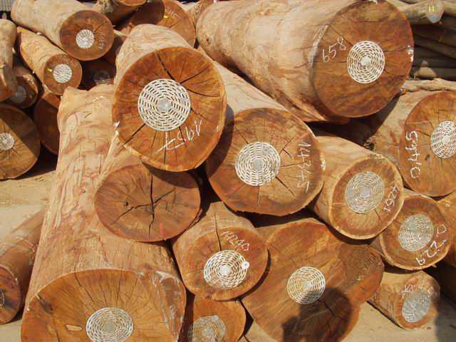 Mỹ, Trung Quốc thị trường xuất khẩu gỗ chủ lực của Việt Nam