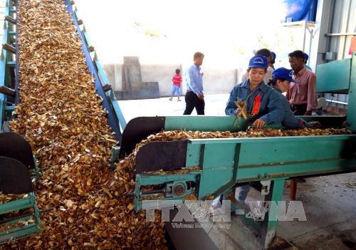 Xuất khẩu đồ gỗ trông chờ vào Hiệp định thương mại Việt Nam - EU