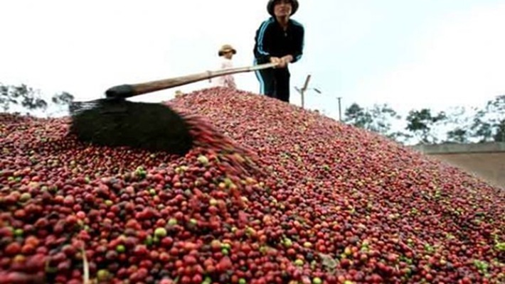 Xuất khẩu cà phê 2 tháng đầu năm 2018