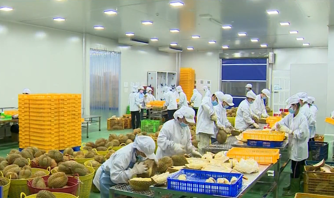 Tổng cục Hải quan Trung Quốc ra thông báo quy định quản lý, giám sát việc ghi nhãn bao bì thực phẩm đóng gói sẵn xuất nhập khẩu