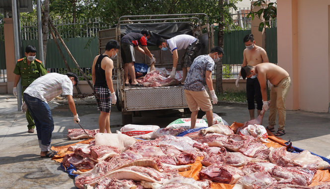 Phát hiện quả tang 01 tấn thịt heo thối vận chuyển đi tiêu thụ tại chợ Đông Đô, Thuận An