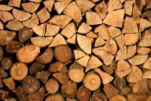 Quy định quản lý gỗ nhập khẩu, xuất khẩu