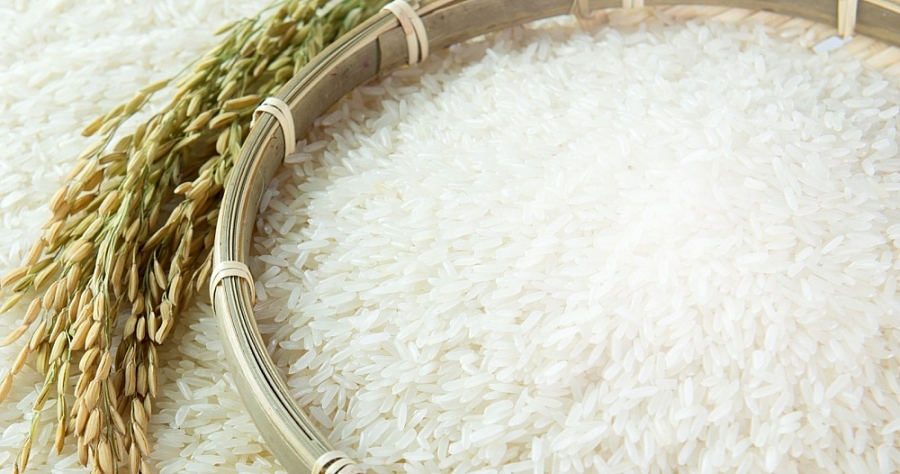 Giá lúa gạo hôm nay 19/6: Giá gạo nguyên liệu sụt giảm 300 đồng/kg
