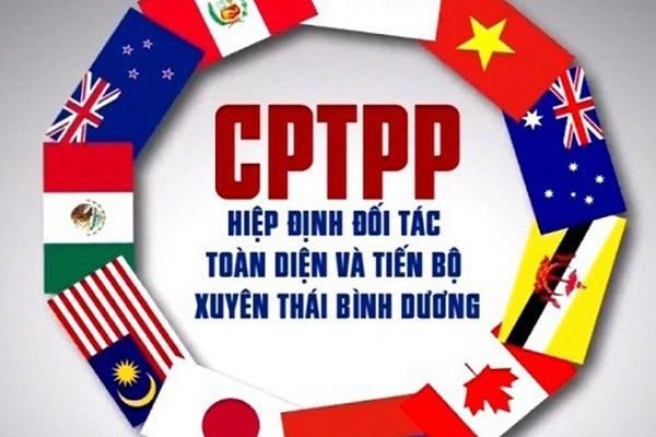 Hiệp định CPTPP chính thức có hiệu lực đối với Việt Nam từ 14/1