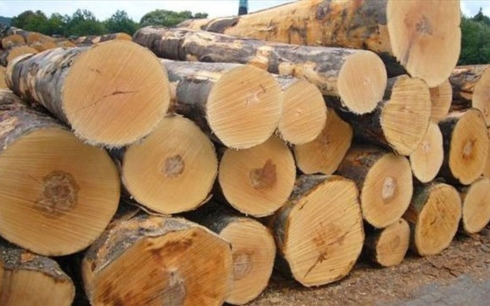 Ngừng kinh doanh tạm nhập tái xuất gỗ tự nhiên từ Lào và Campuchia