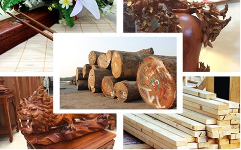 ​Xuất khẩu gỗ và sản phẩm gỗ sang EU